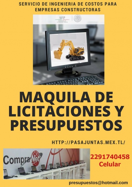 SERVICIO DE MAQUILA DE LICITACIONES
